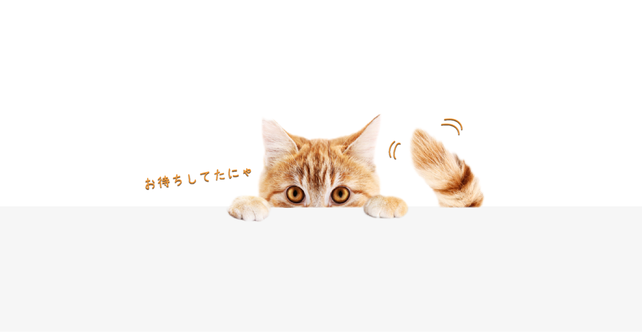 トップページ 日本猫ねこ協会