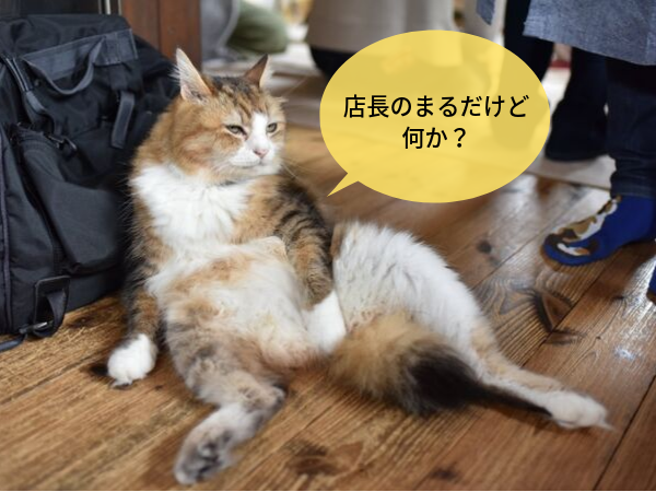 鎌倉の保護猫カフェ ねこの間 で猫まみれ 第１回猫カフェオフ会 鎌倉レポ 日本猫ねこ協会