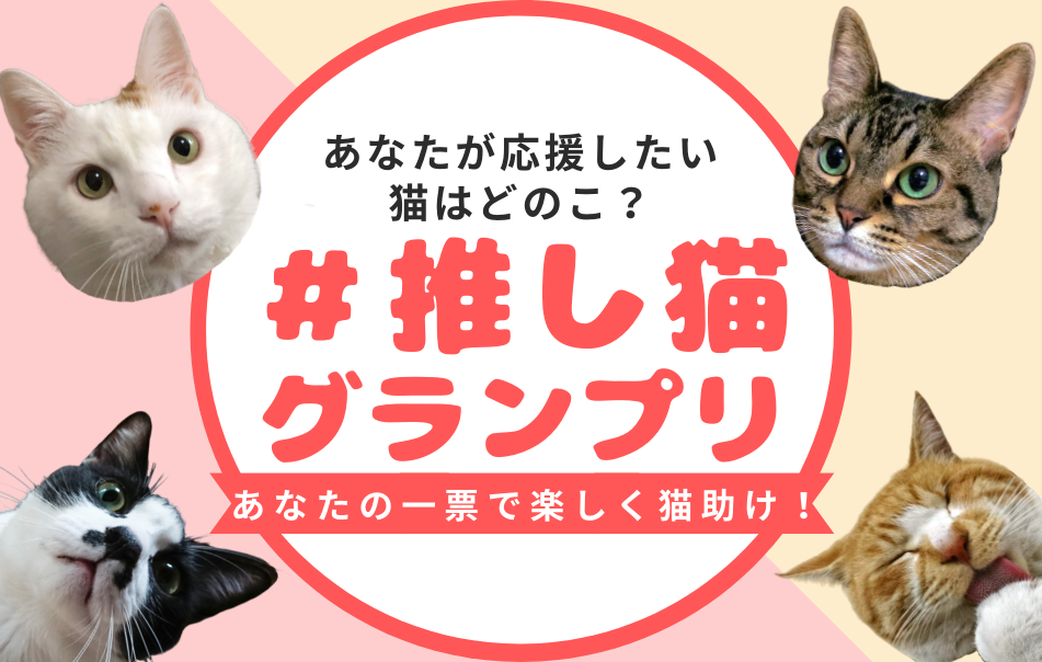 トップページ 日本猫ねこ協会