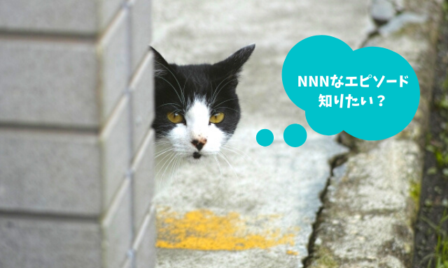 Nnn ねこねこネットワーク から猫を派遣された 体験談 まとめ 日本猫ねこ協会