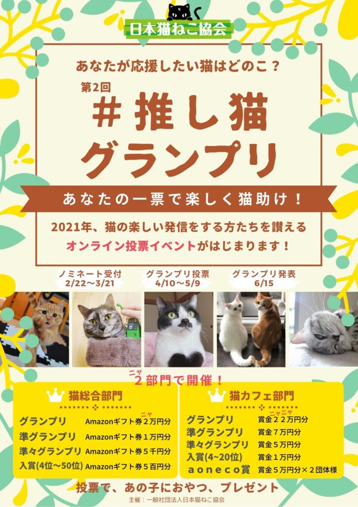 浦安市の猫を売らない猫の店 保護猫カフェ 猫の館me