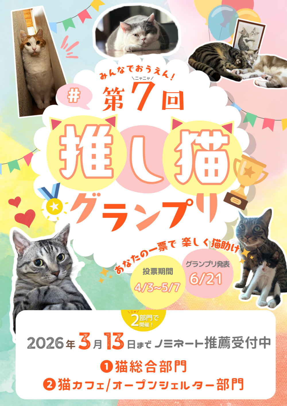 第7回#推し猫グランプリ - 日本猫ねこ協会